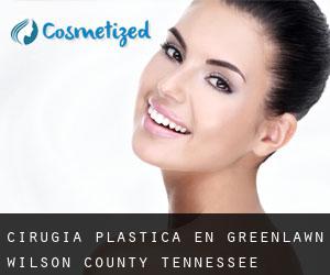 cirugía plástica en Greenlawn (Wilson County, Tennessee)