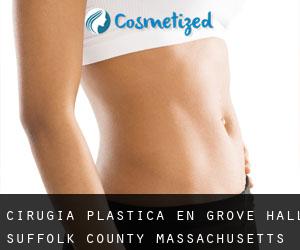 cirugía plástica en Grove Hall (Suffolk County, Massachusetts)