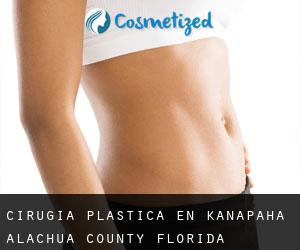 cirugía plástica en Kanapaha (Alachua County, Florida)