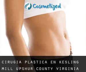cirugía plástica en Kesling Mill (Upshur County, Virginia Occidental)