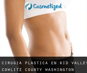 cirugía plástica en Kid Valley (Cowlitz County, Washington)
