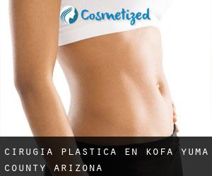 cirugía plástica en Kofa (Yuma County, Arizona)