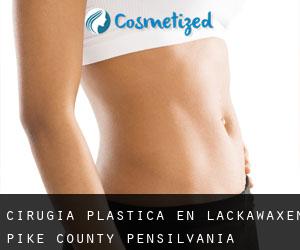 cirugía plástica en Lackawaxen (Pike County, Pensilvania)