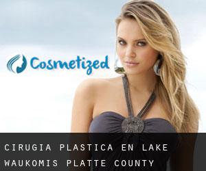 cirugía plástica en Lake Waukomis (Platte County, Missouri)