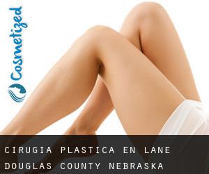 cirugía plástica en Lane (Douglas County, Nebraska)
