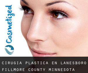 cirugía plástica en Lanesboro (Fillmore County, Minnesota)