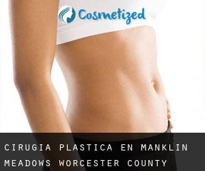 cirugía plástica en Manklin Meadows (Worcester County, Maryland)