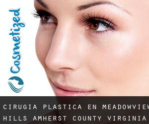 cirugía plástica en Meadowview Hills (Amherst County, Virginia)
