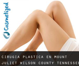 cirugía plástica en Mount Juliet (Wilson County, Tennessee)