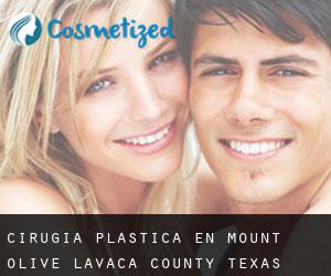 cirugía plástica en Mount Olive (Lavaca County, Texas)