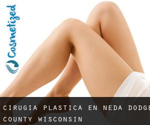 cirugía plástica en Neda (Dodge County, Wisconsin)