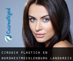 cirugía plástica en Nordwestmecklenburg Landkreis