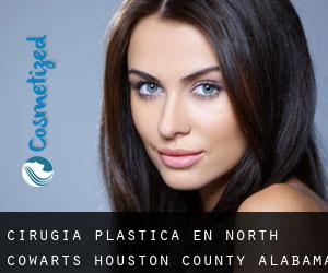 cirugía plástica en North Cowarts (Houston County, Alabama)