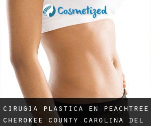 cirugía plástica en Peachtree (Cherokee County, Carolina del Norte)