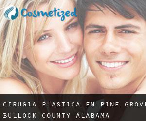 cirugía plástica en Pine Grove (Bullock County, Alabama)