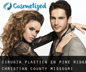 cirugía plástica en Pine Ridge (Christian County, Missouri)