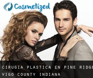 cirugía plástica en Pine Ridge (Vigo County, Indiana)