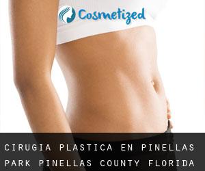 cirugía plástica en Pinellas Park (Pinellas County, Florida)