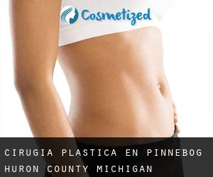 cirugía plástica en Pinnebog (Huron County, Michigan)