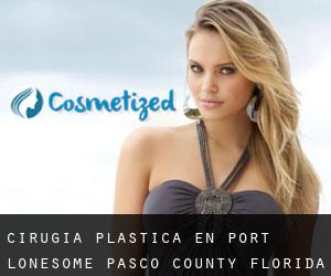 cirugía plástica en Port Lonesome (Pasco County, Florida)