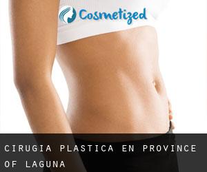 cirugía plástica en Province of Laguna