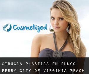 cirugía plástica en Pungo Ferry (City of Virginia Beach, Virginia)