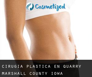 cirugía plástica en Quarry (Marshall County, Iowa)