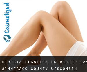 cirugía plástica en Ricker Bay (Winnebago County, Wisconsin)