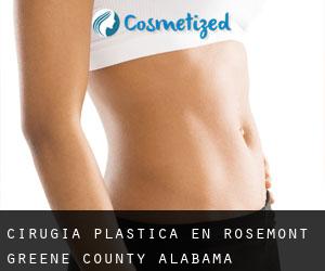 cirugía plástica en Rosemont (Greene County, Alabama)