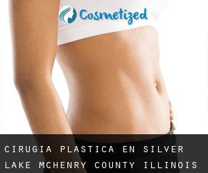 cirugía plástica en Silver Lake (McHenry County, Illinois)