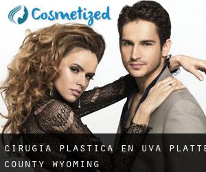 cirugía plástica en Uva (Platte County, Wyoming)
