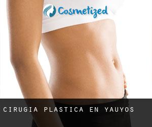 cirugía plástica en Yauyos